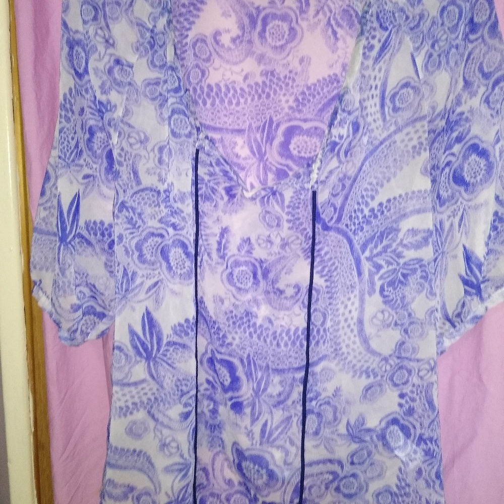 Daisy Fuentes Sheer Shirt